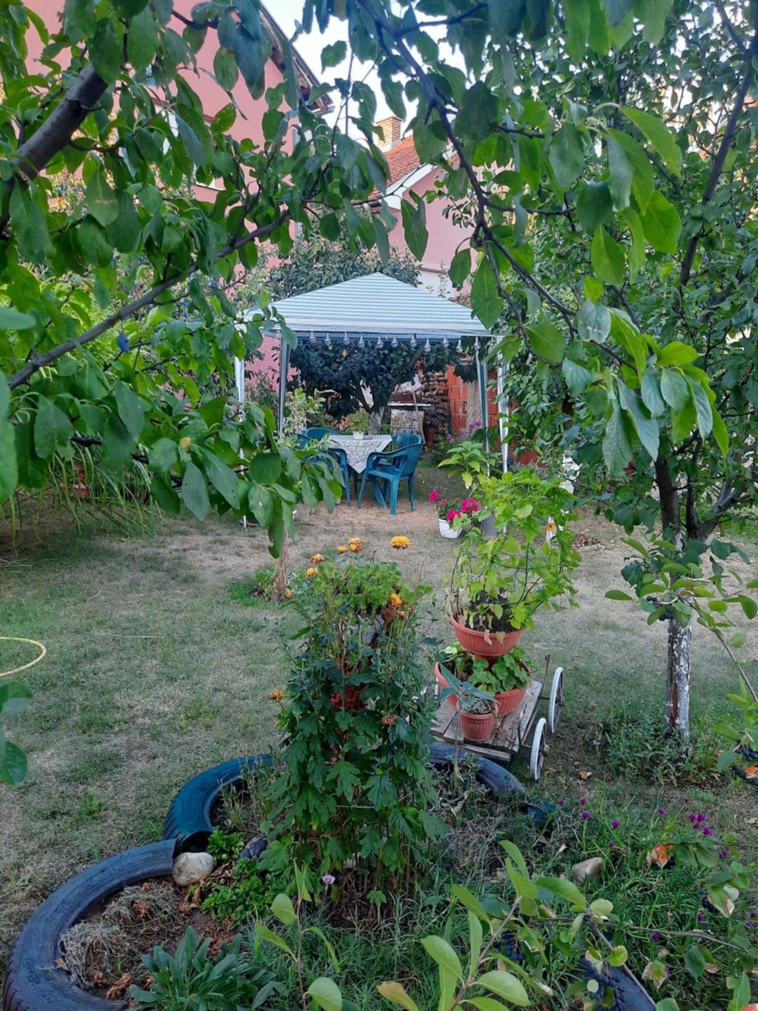 Apartman Drina Berilovac Exterior photo